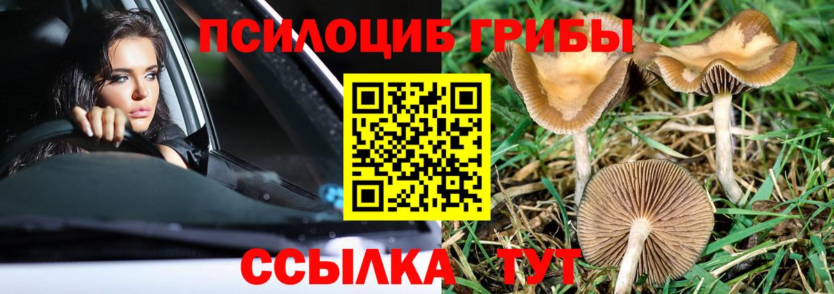 Галлюциногенные грибы прущие грибы Нягань