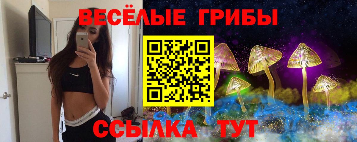 Псилоцибиновые грибы мицелий  Вход с VPN  Нягань 